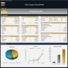 Airline Company Financial Model – Dynamic 10 Year Forecast