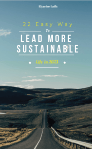22  Esay way to Lead more sustainable life in 2023
