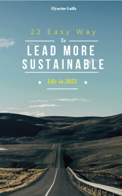 22  Esay way to Lead more sustainable life in 2023