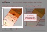 Root's Entry Mode Strategies Framework Graph Template