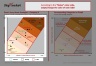 Root's Entry Mode Strategies Framework Graph Template