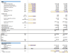 Valuation Financial Model based on Discounted Cashflows to Firm and Cashflows to Equity and Discount Rate Framework