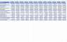 Profit & Loss Statement