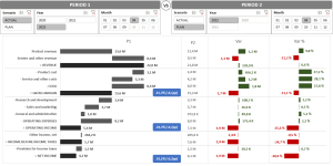 Profit & Loss Statement