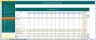 Advance Feasibility study template ( Best financial model for any projects and feasibility studies