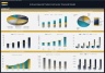 Artisan Contractor Business – 5 Year Financial Model