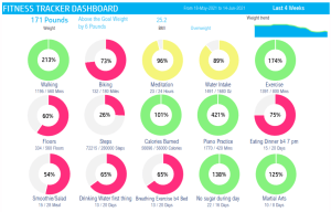 Fitness & Weight Loss Tracker Excel Template