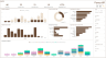 Employee Administration Dashboard Power BI Template