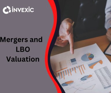 Mergers and LBO Valuation Model