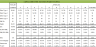Mergers and LBO Valuation Model