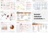 Chief of Staff (COS) Frameworks Templates Bundle