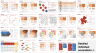 Chief of Staff (COS) Frameworks Templates Bundle