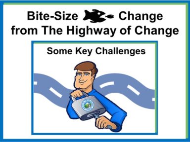Bite-Size Change - Main Change Management Challenges