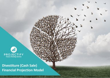 Divestiture (Cash Sale) Financial Projection Model