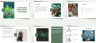 Cannabis Pitch Deck Template