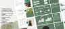 Cannabis Pitch Deck Template