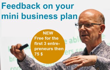 Feedback on your Mini Business Plan
