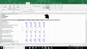 User Friendly 5 Year Scenario Model -  with 3 Scenarios and All 3 Financial Statements