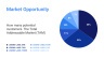 Investor Pitch Deck Template