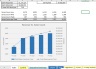 Pawn Shop 5 Year Business Excel Financial Model