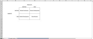 Ansoff's Matrix