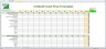 Annual Cash Flow Forecaster