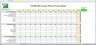 Annual Cash Flow Forecaster