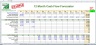 Annual Cash Flow Forecaster