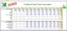 Annual Cash Flow Forecaster