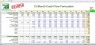 Annual Cash Flow Forecaster