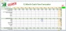 Annual Cash Flow Forecaster