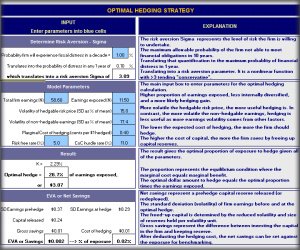 Optimal Hedging Calculation Excel Model