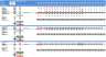 Metal Mining Project Finance Model