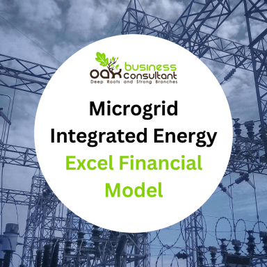 Microgrid Integrated Energy Financial Model