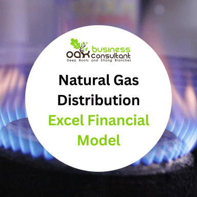 Natural Gas Distribution Excel Financial Model