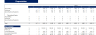 Sporting Goods Financial Model