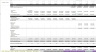 Cruise Ship / Boat Tour Financial Model: 10 Year