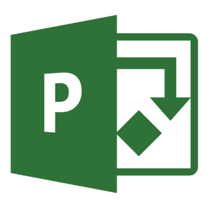 Developing Professional Project Plans through Microsoft Project (MS Project)
