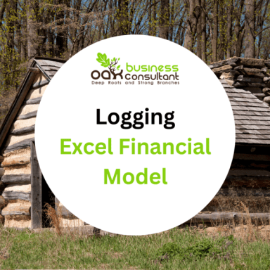 Logging Excel Financial Model