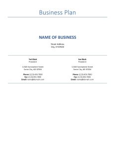 3 years Business Plan templete (Word + Excel)