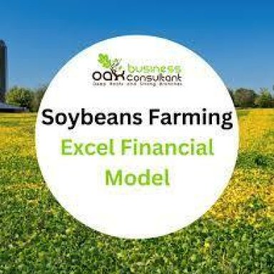 Soybeans Farming Excel Financial Model