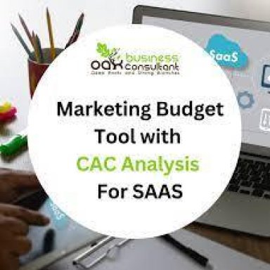Marketing Budget tool with CAC Analysis for SaaS