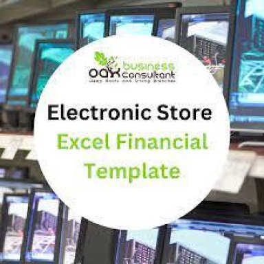 Electronic Store Excel Financial Model