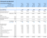 Self-Service Laundromat Financial Model and Budget Control Template