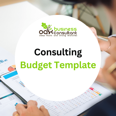 Consulting Budget