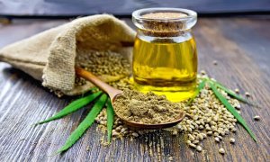 Cannabis Dispensary Business Plan Guide and Financial Pro Forma