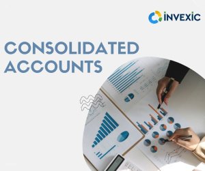 Consolidated Accounts