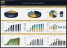 Cruise Line Company – Dynamic 10 Year Financial Model