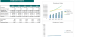 Electric Bike Dealers Excel Financial Model Template