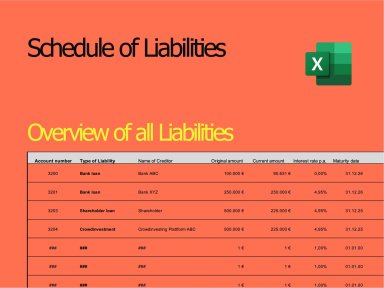 Schedule of liabilities | Bank Charts | Overview of All Liabilities | Liabilities Charts | Excel Template in ENG